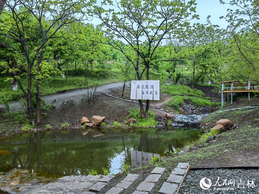百年梨园。人民网记者 马俊华摄